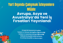 yurt-disinda