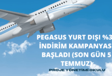 pegasus