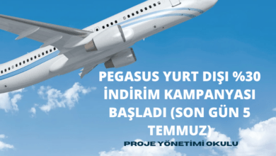pegasus