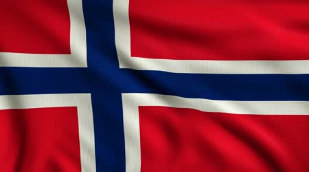 norvec-burs-rehberi