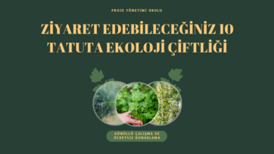 tatuta