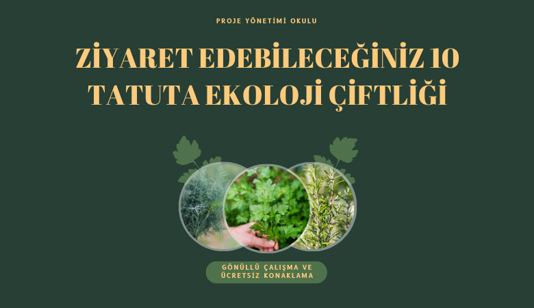 tatuta