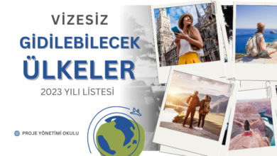vizesiz