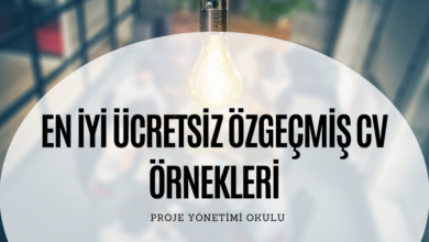 cv-ornegi