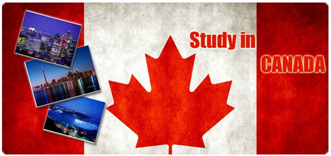 kanada-universite-egitim