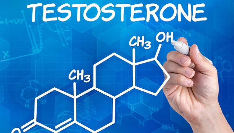 what-is-testosterone