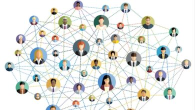 network-edinmek