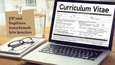 ingilizce-cv