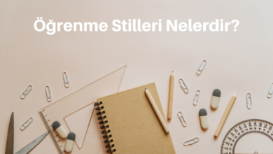 ogrenme-stilleri