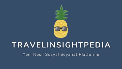 travel-insight-pedia