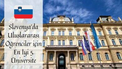 slovenya-universite-egitimi