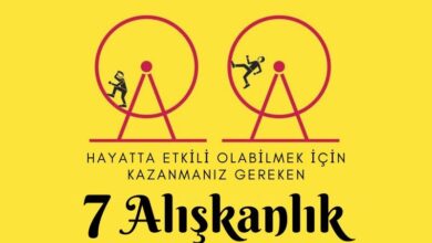 7-aliskanlik