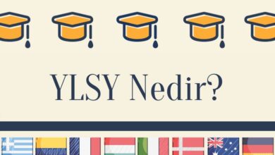 ylsy