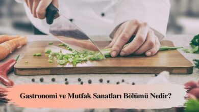 gastronomi-ve-mutfak-sanatlari