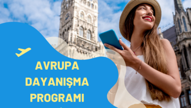 dayanisma-programi