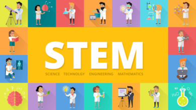 stem
