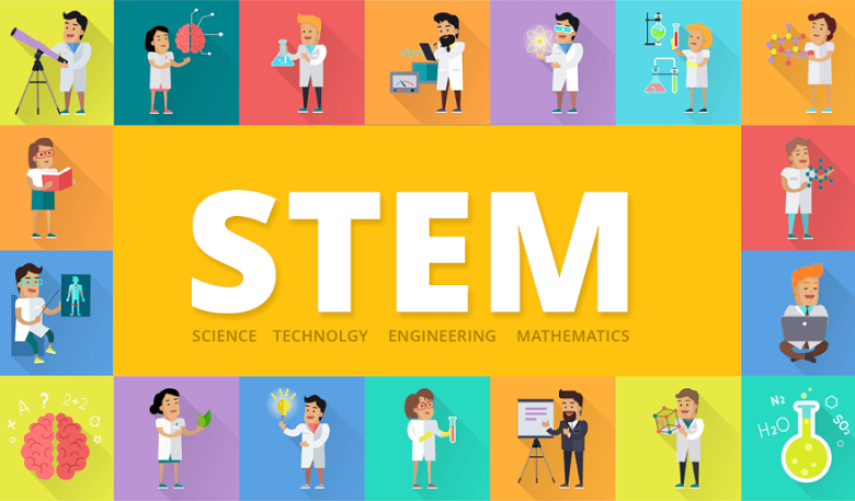 stem