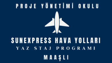 sunexpress-staj