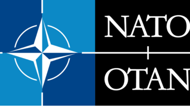 nato-staj