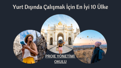 yurt-disinda-calismak