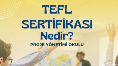 tefl-sertifikasi