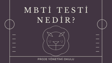 mbti-testi