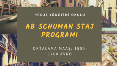 schuman-staj