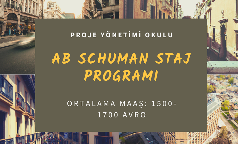 schuman-staj
