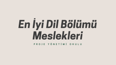 dil-bolumu