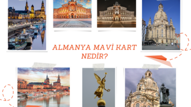 almanya-mavi-kart