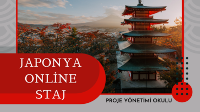 japonya-staj