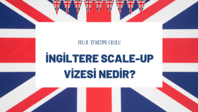 scale-up-vizesi