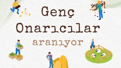 genc-onaricilar