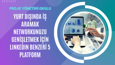 linkedin-benzeri