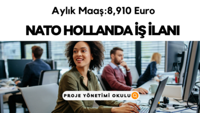 nato-hollanda-kariyer