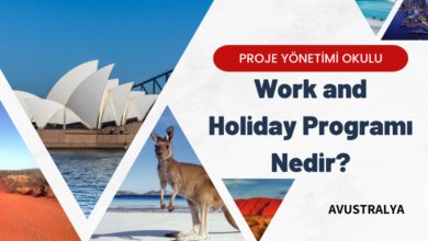 work-holiday