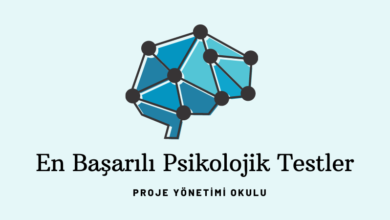 basarili-psikolojik-testler