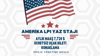 amerika-staj