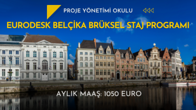 belcika-staj