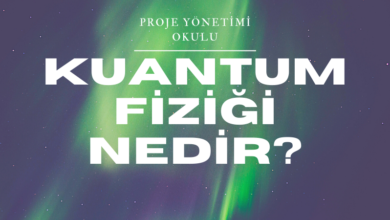 kuantum-fizigi
