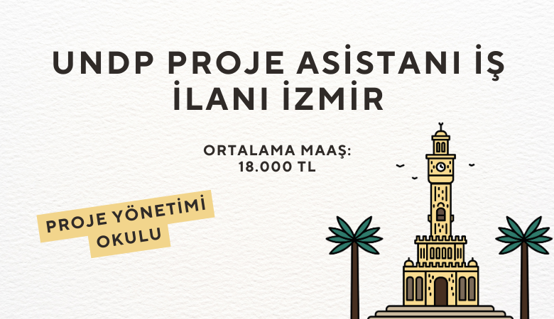 undp-proje asistani