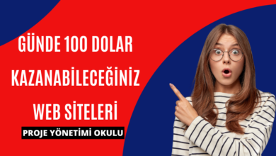 gunde-100-dolar