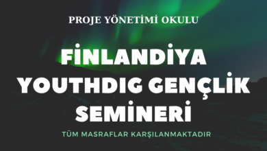 finlandiya