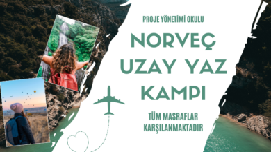 norvec