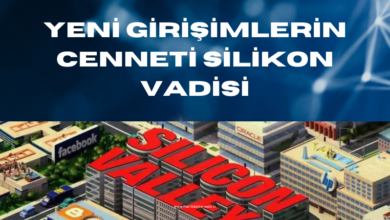 silikon-vadisi