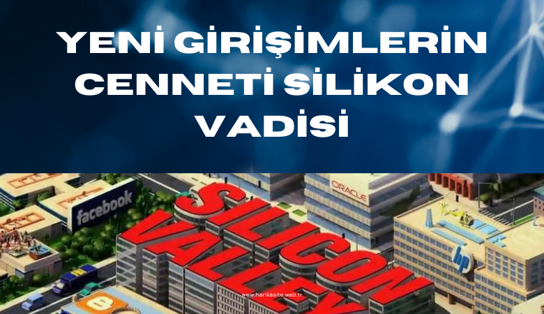 silikon-vadisi