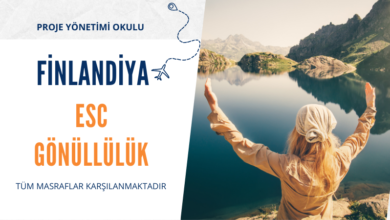 finlandiya-esc