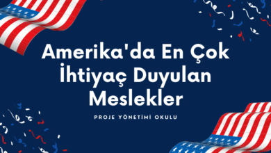 amerika-meslekler