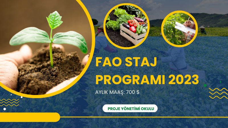 fao-staj