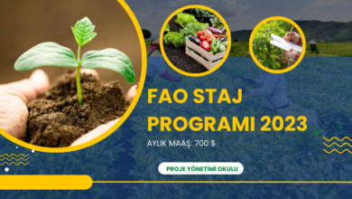 fao-staj